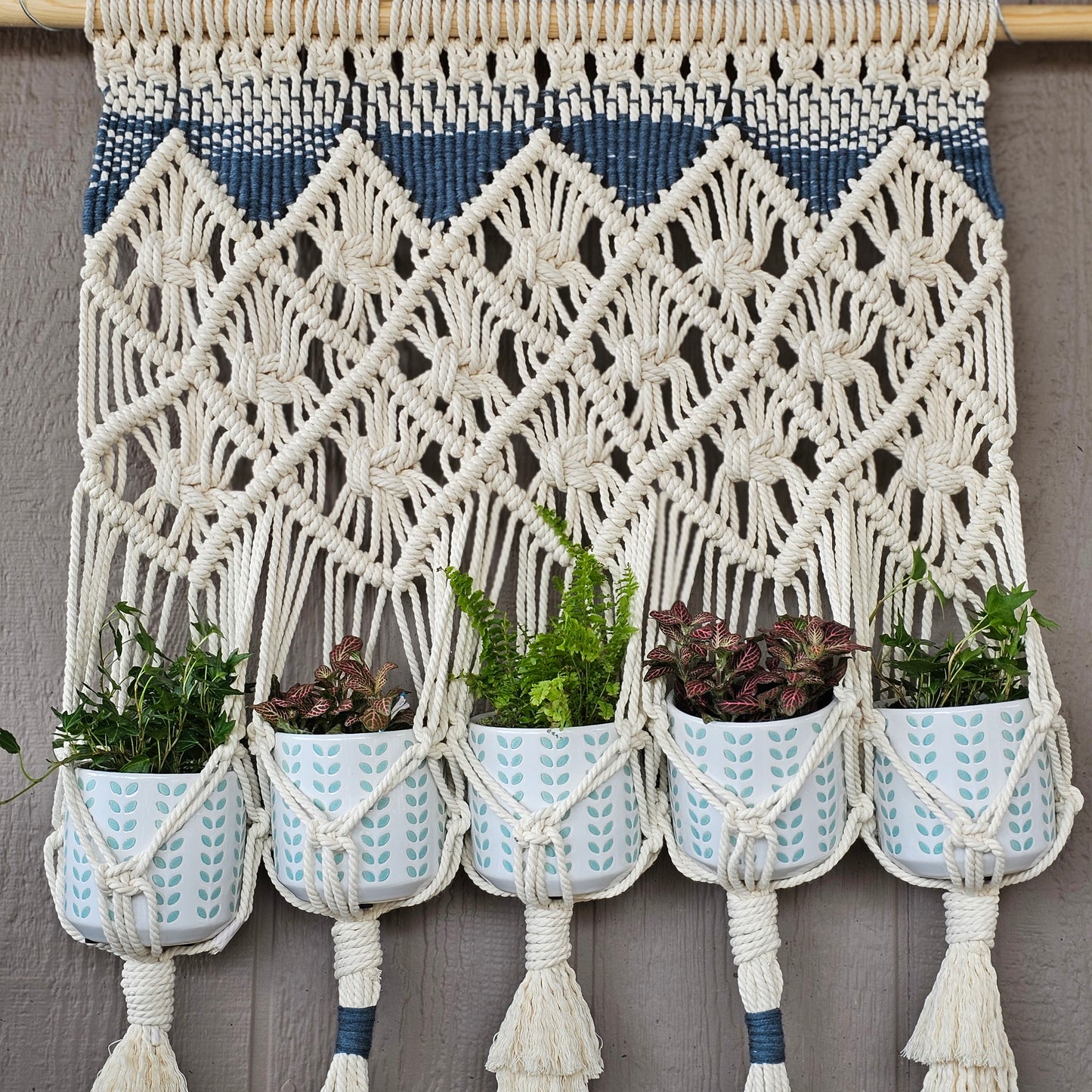 Wall mounted macrame plant hanger