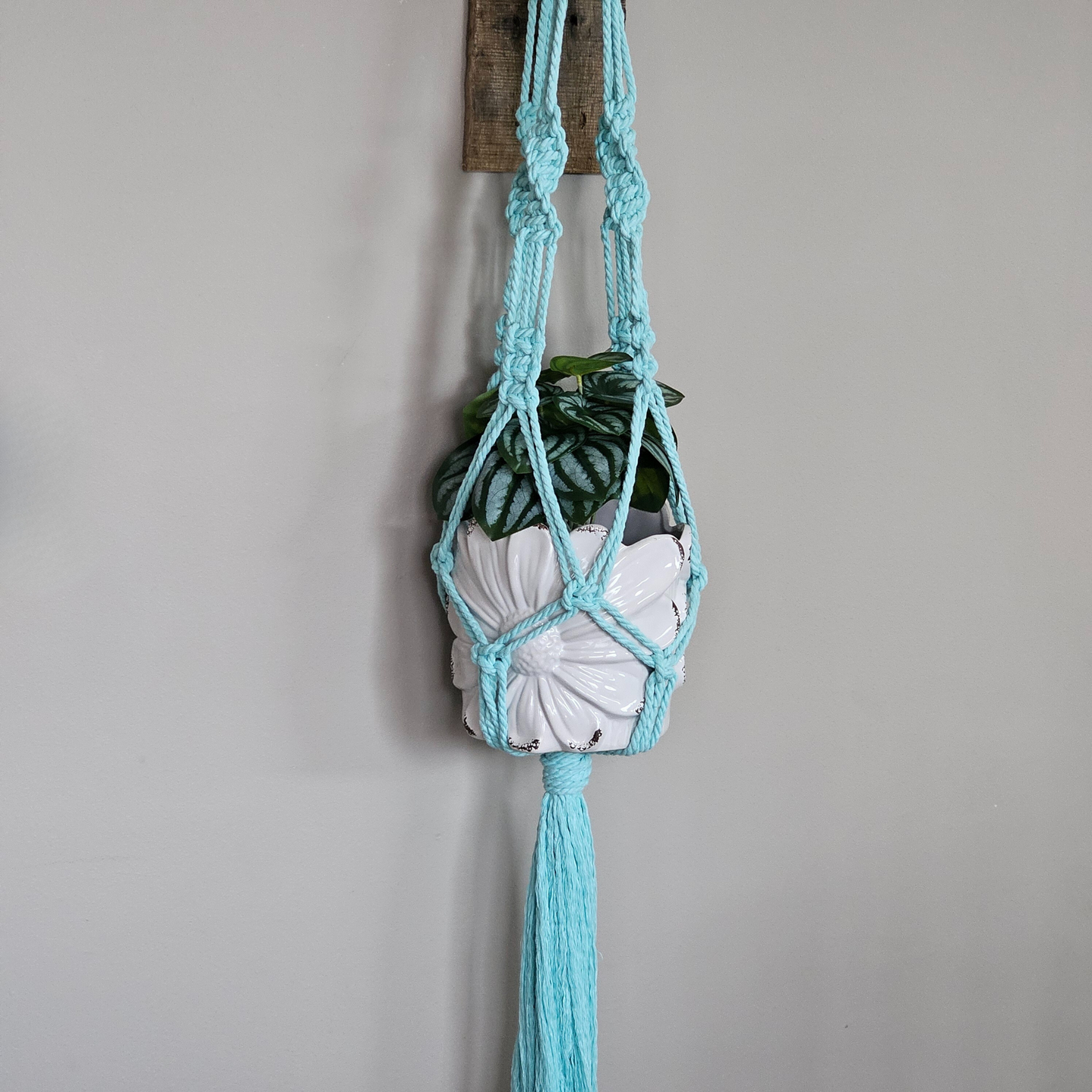 Little Twist Plant Hanger